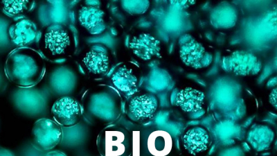 magnified biomaterials with text BIO
