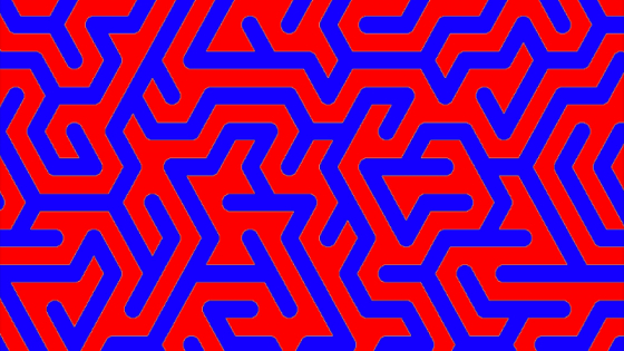 A maze of red and blue lines interwoven together