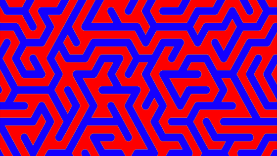 A maze of red and blue lines interwoven together 