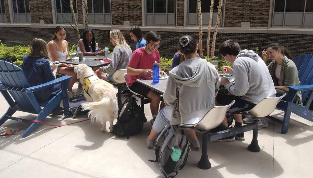 students gathered eating and drinking at outdoor tables with a white long-haired therapy dog in the group