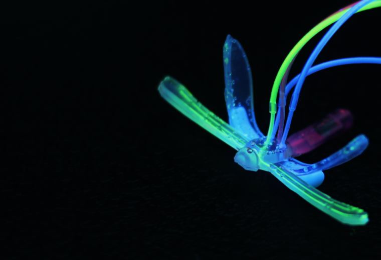 robot suggestive of a dragonfly