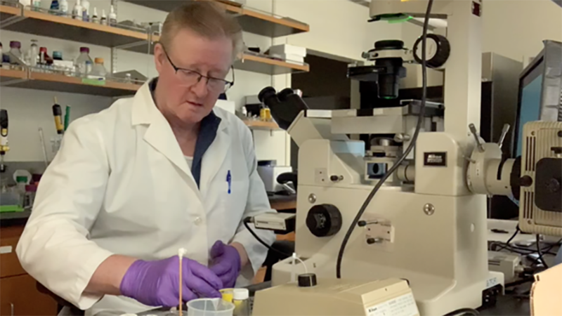 a man stands at a microscope with purple gloves on