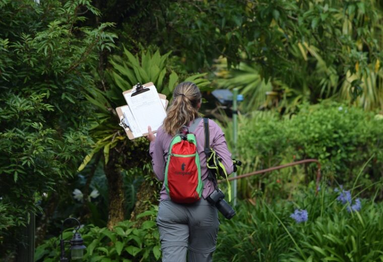 person holds clipboards in a rainforest
